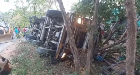 मोहनियां से कोलकाता जा रही ट्रक छबिलापुर में पलटी, 2 पशु तस्कर समेत 14 मवेशी की मौत