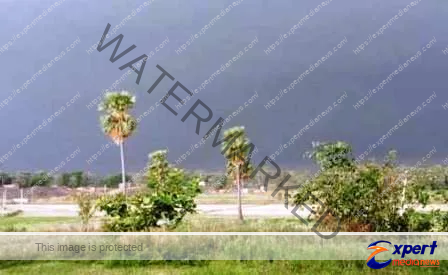 अंधे तहखाने में दफन है रूखाई की बौद्धकालीन सभ्यता 1 The ancient history of Bihars second Nalanda Rukhaigarh should not be buried in the dark basement 6