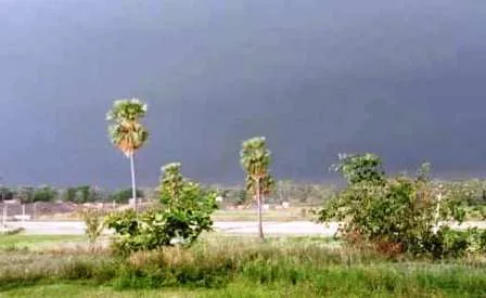 उदासीनता का शिकार नालंदा के इस गाँव के गौरवमयी टीले को लेकर बिनोद ने अब पीएओ को लिखा 1 The proud mounds of this village of Nalanda are a victim of apathy Binod has now written to PAO 1