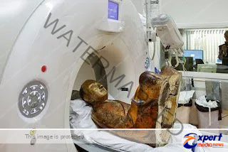 जब 1100 साल पुरानी बुद्ध प्रतिमा का सीटी स्कैन हुआ तो खुले यूं चौंकाने वाले राज? 9 When the CT scan of the 1100 year old Buddha statue was done the secrets were revealed like this 2