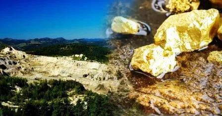 खनन मंत्री का संसद में खुलासा, बिहार के सोनो में मिला देश का सबसे बड़ा स्वर्ण भंडार 1 Mining Minister disclosed in Parliament countrys largest gold reserves found in Sono Bihar