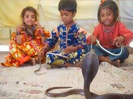 Unique Village Here snakes are reared in every house children play together 2