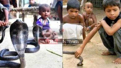 Unique Village Here snakes are reared in every house children play together