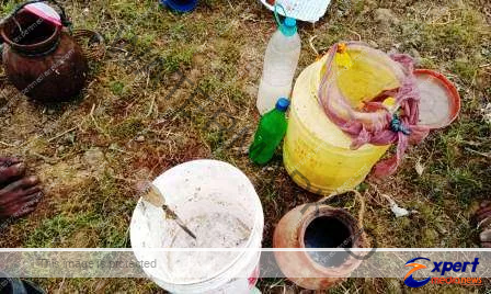 बैशाख की आस- 'ताड़ी' को निगल गई नीरा नियमावली, नीरा केंद्र शोभा की वस्तु 1 बैशाख की आस ताड़ी को निगल गई नीरा नियमावली नीरा केंद्र शोभा की वस्तु 1