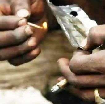 Jharkhand Kolhan intoxicated police failed to break the chain of drug peddlers 1