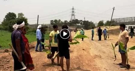 मुआवजा नहीं मिलने से निराश किसानों ने एनएच-30ए पर केले का पेड़ रोपा ! 1 Disappointed with not getting compensation farmers planted banana tree on NH 30A 2