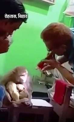 Monkey arrives at clinic with baby in her lap video goes viral 2