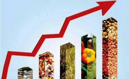 आरबीआई को आशंका, सुरसा की तरह अभी और बढ़ेगी मंहगाई, नहीं बन रहा मुद्दा 1 RBI fears inflation will rise further like Sursa not becoming an issue 1