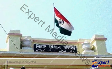 बिहार विधान परिषद के 60 में से 38 सदस्यों पर दर्ज हैं गंभीर आपराधिक मामले 17 38 out of 60 members of Bihar Legislative Council have serious criminal cases registered