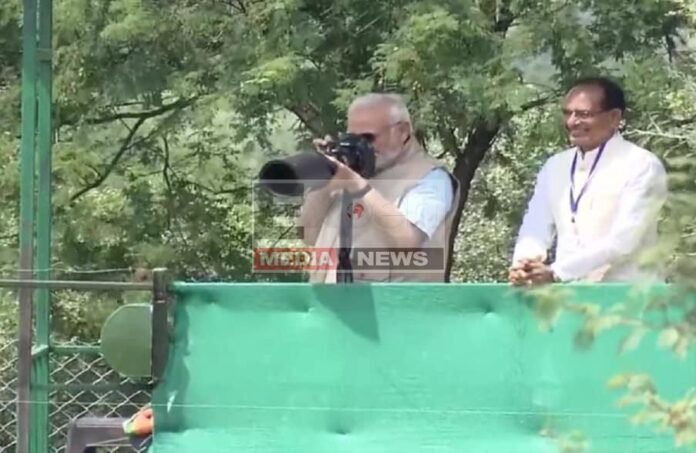 पीएम मोदी के कैमरों की नजर से कुनो राष्ट्रीय उद्यान पहुंचे सभी चीते की तस्वीरें पीएम मोदी के कैमरों की नजर से कुनो राष्ट्रीय उद्यान पहुंचे सभी चीते की तस्वीरें