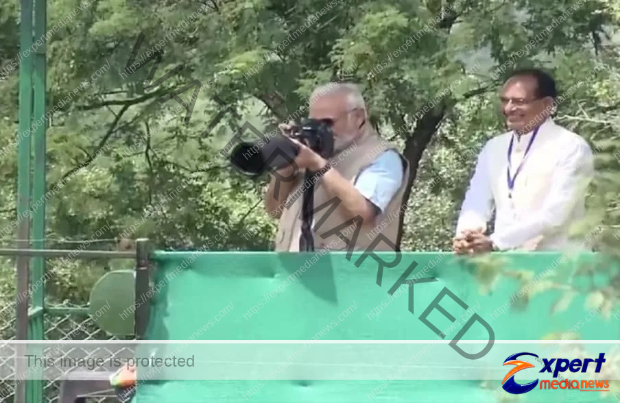 Narendra Modi Cheetah 5
