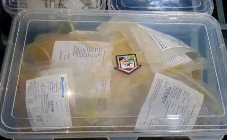 डेंगू मरीज को ब्लड प्लेटलेट्स की जगह चढ़ाया मौसंबी जूस, हुई मौत,10 लोग गिरफ्तार 7 Dengue patient was given Mousambi juice instead of blood platelets died 10 people arrested