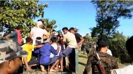 अंततः बाल्मीकि टाईगर रिजर्व के आदमखोर बाघ को मार गिराया गया 1 Man eating tiger of Balmiki Tiger Reserve finally killed