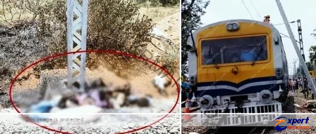 हावड़ा-नई दिल्ली रेल मार्ग पर धनबाद के पास बड़ा हादसा, करंट से आठ लोग जिंदा जले, कई झुलसे 1 Big accident near Dhanbad on Howrah New Delhi rail route eight people burnt alive due to current many scorched