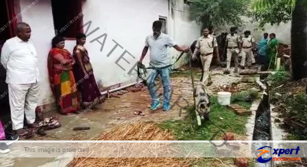 दादी-पोता की दिनदहाड़े हत्या कर लूट से दहला नालंदा, जांच में जुटी एफएसएल-डॉग स्क्वायड की टीम 1 Grandmother grandson murdered in broad daylight and robbery in Nalanda FSL dog squad team engaged in investigation