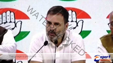 Rahul Gandhis parliamentary membership restored notification issued by Lok Sabha Secretariat