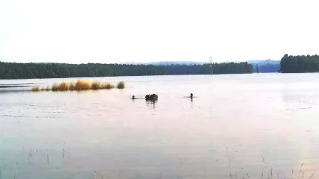 लोटवा डैम में डूबे 6 स्कूली बच्चे, 3 का शव निकला, 3 लापता 1 6 school children drowned in Lotwa Dam bodies of 3 found 3 missing