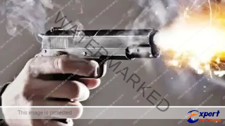 पटना में अपराधियों ने दारोगा को गोली मारी, 3 चोर गिरफ्तार 1 Criminals shot Inspector in Patna 3 thieves arrested