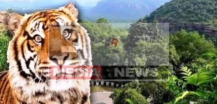 जल्द टाइगर रिजर्व क्षेत्र घोषित होगा कैमूर वन अभ्यारण्य 1 Kaimur Forest Sanctuary will soon be declared a Tiger Reserve area