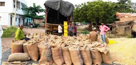 बिहार में धान खरीद घोटाला की आशंका, सभी डीसीओ को शोकॉज जारी 1 Fear of paddy procurement scam in Bihar show cause issued to all DCOs