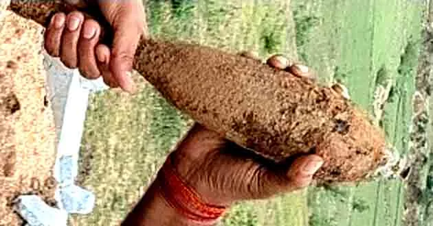 Para Bomb: नामकुम में घर निर्माण के दौरान मिट्टी खुदाई मिला पावरफुल पैरा बम 3 Para Bomb Powerful para bomb found during soil excavation during house construction in Namkum