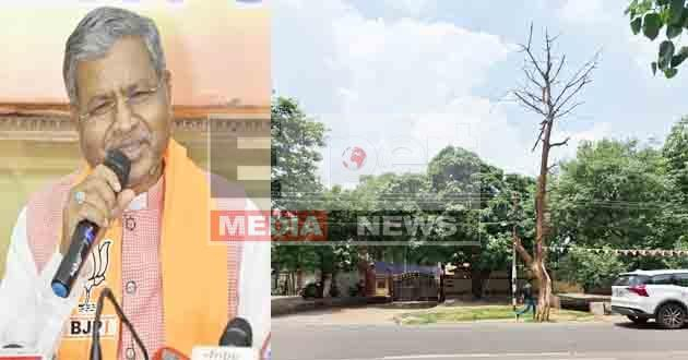 Jharkhand Politics Power: अदद सूखा पेड़ तक नहीं हटवा पा रहे बाबूलाल मरांडी 1 Jharkhand Politics Power Babulal Marandi is not even able to get a single dry tree removed