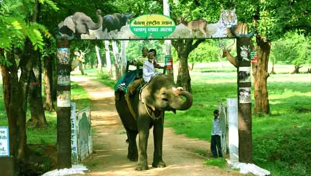 PTR Betla National Park will open with new rules after 3 months, entry fee doubled