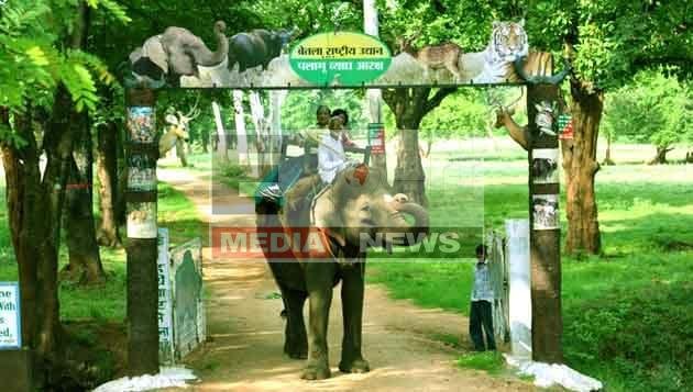 3 माह बाद नए नियमों के साथ खुलेगा PTR बेतला नेशनल पार्क, इंट्री फीस हुआ दोगुना 1 PTR Betla National Park will open with new rules after 3 months, entry fee doubled