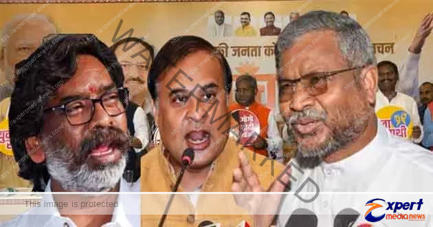 There is a ruckus on social media about BJP's Gogo Didi scheme