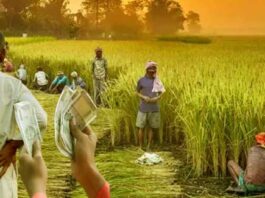 3.8 lakh farmers of Bihar are deprived of PM Samman Nidhi, know the big reason