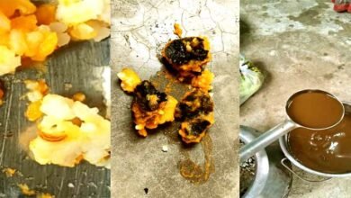 ACS सिद्धार्थ साहब, जरा मोकामा में बच्चों के लिए NGO का भोजन देख लीजिए 8 ACS Siddharth Sir, please see the food provided by the NGO for children in Mokama