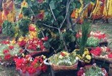 आसानबनी कलाडुंरी में धूमधाम से मना झारखंडी देश करम अखाड़ा 4 Jharkhandi Desh Karam Akhara celebrated with great pomp in Aasanbani Kaladuri 1