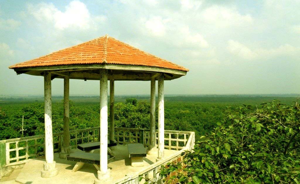 Hazaribagh Kanhari hill becomes biodiversity heritage site 1