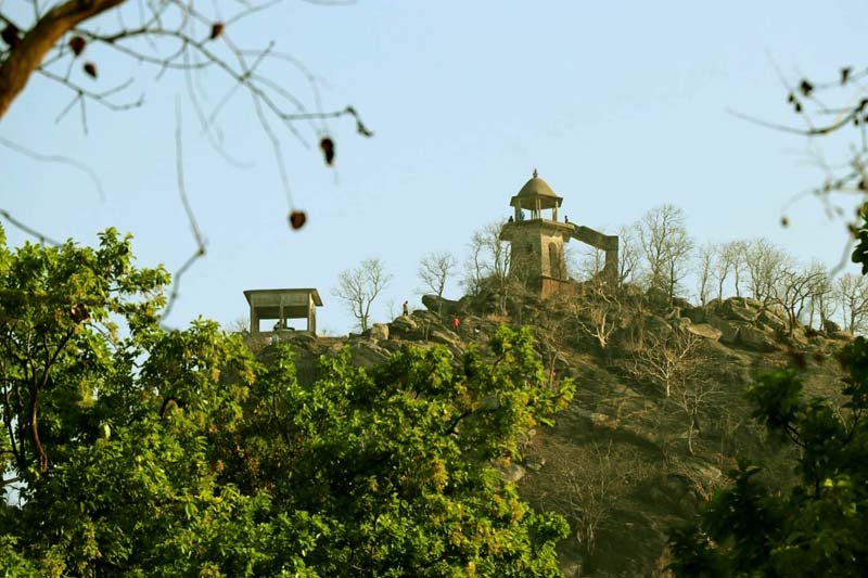 Hazaribagh Kanhari hill becomes biodiversity heritage site 2