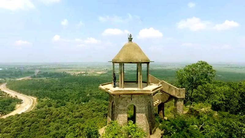 Hazaribagh Kanhari hill becomes biodiversity heritage site 3
