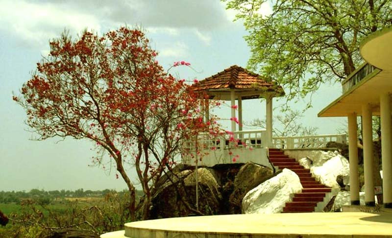 Hazaribagh Kanhari hill becomes biodiversity heritage site 4