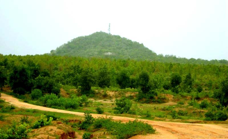 Hazaribagh Kanhari hill becomes biodiversity heritage site 5