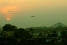 Hazaribagh Kanhari hill becomes biodiversity heritage site 6