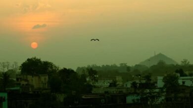 जैव विविधता विरासत स्थल बनी हजारीबाग की कनहरी पहाड़ी 4 Hazaribagh Kanhari hill becomes biodiversity heritage site 6