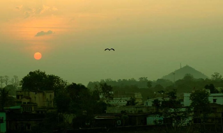 Hazaribagh Kanhari hill becomes biodiversity heritage site 6