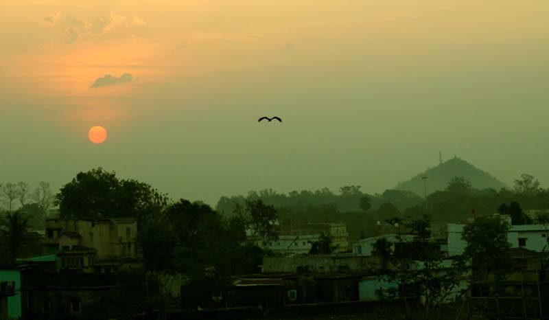 जैव विविधता विरासत स्थल बनी हजारीबाग की कनहरी पहाड़ी 9 Hazaribagh Kanhari hill becomes biodiversity heritage site 6