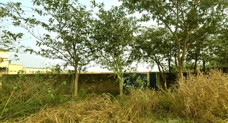 गजब! कांके CO ने ST जमीन की जमाबंदी 'मिश्रा जी' के नाम कर डाला, दलालों का बोलबाला! 3 Incredible The Kanke Circle Officer transferred the land records of tribal land to the name of Mishra ji showing the dominance of brokers 1