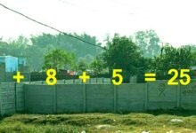 रांची जमीन घोटाला: 25 डिसमिल की जमीन को कांके CO बना रहा 37 डिसमिल! 5 The Kanke Circle Officer has defied the DCLR court order claiming a 25 decimal plot of land is actually 37 decimal