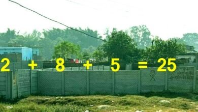 रांची जमीन घोटाला: 25 डिसमिल की जमीन को कांके CO बना रहा 37 डिसमिल! 2 The Kanke Circle Officer has defied the DCLR court order claiming a 25 decimal plot of land is actually 37 decimal