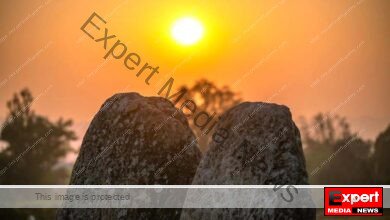 An initiative to establish Jharkhand megalithic culture on the global stage 2