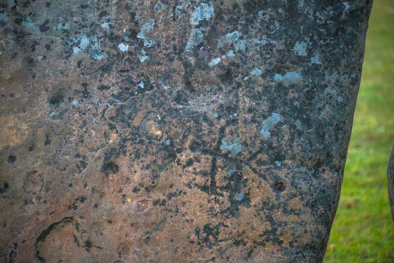 An initiative to establish Jharkhand megalithic culture on the global stage 6