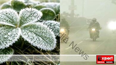 Cold wave continues to grip Jharkhand Mercury plummets below freezing point in McCluskieganj disrupting normal life