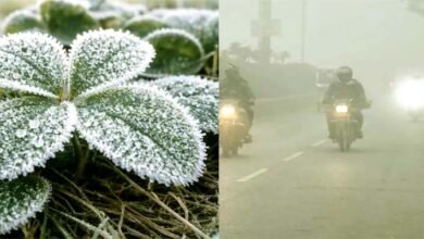 झारखंड में ठंड का कहर जारी: मैक्लुस्कीगंज में शून्य से नीचे लुढ़का पारा, शीतलहर से जनजीवन बेहाल 4 Cold wave continues to grip Jharkhand Mercury plummets below freezing point in McCluskieganj disrupting normal life