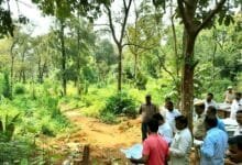 Collusion The land in the Kaimur Wildlife Sanctuary has even been registered and transferred