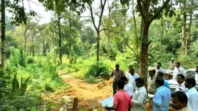 Collusion The land in the Kaimur Wildlife Sanctuary has even been registered and transferred